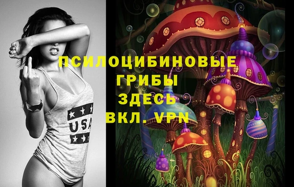 бутират Алексеевка