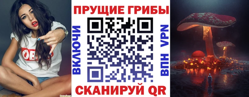 цены наркотик  Бокситогорск  Псилоцибиновые грибы Cubensis 